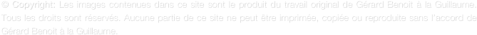 © Copyright: Les images contenues dans ce site sont le produit du travail original de Gérard Benoit à la Guillaume. Tous les droits sont réservés. Aucune partie de ce site ne peut être imprimée, copiée ou reproduite sans l’accord de Gérard Benoit à la Guillaume.